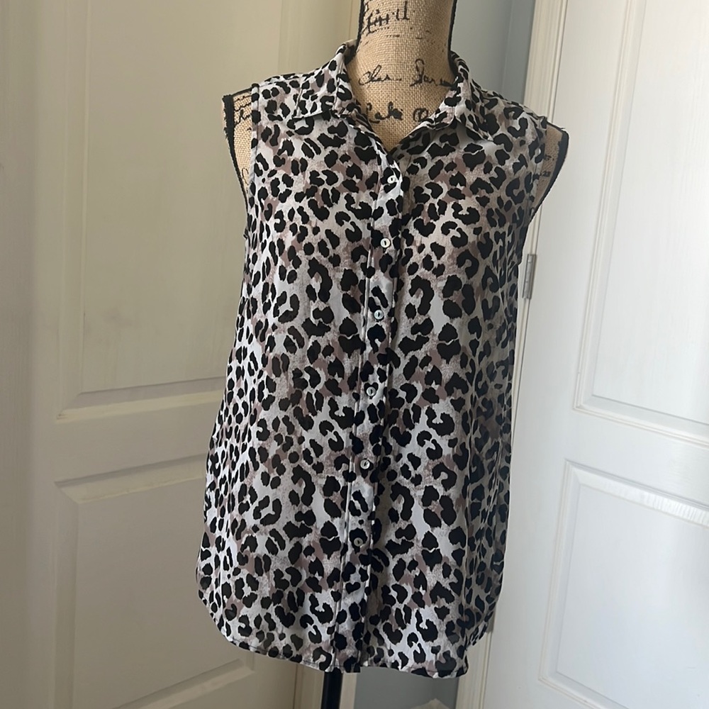 H&M Sheer cheetah print top
